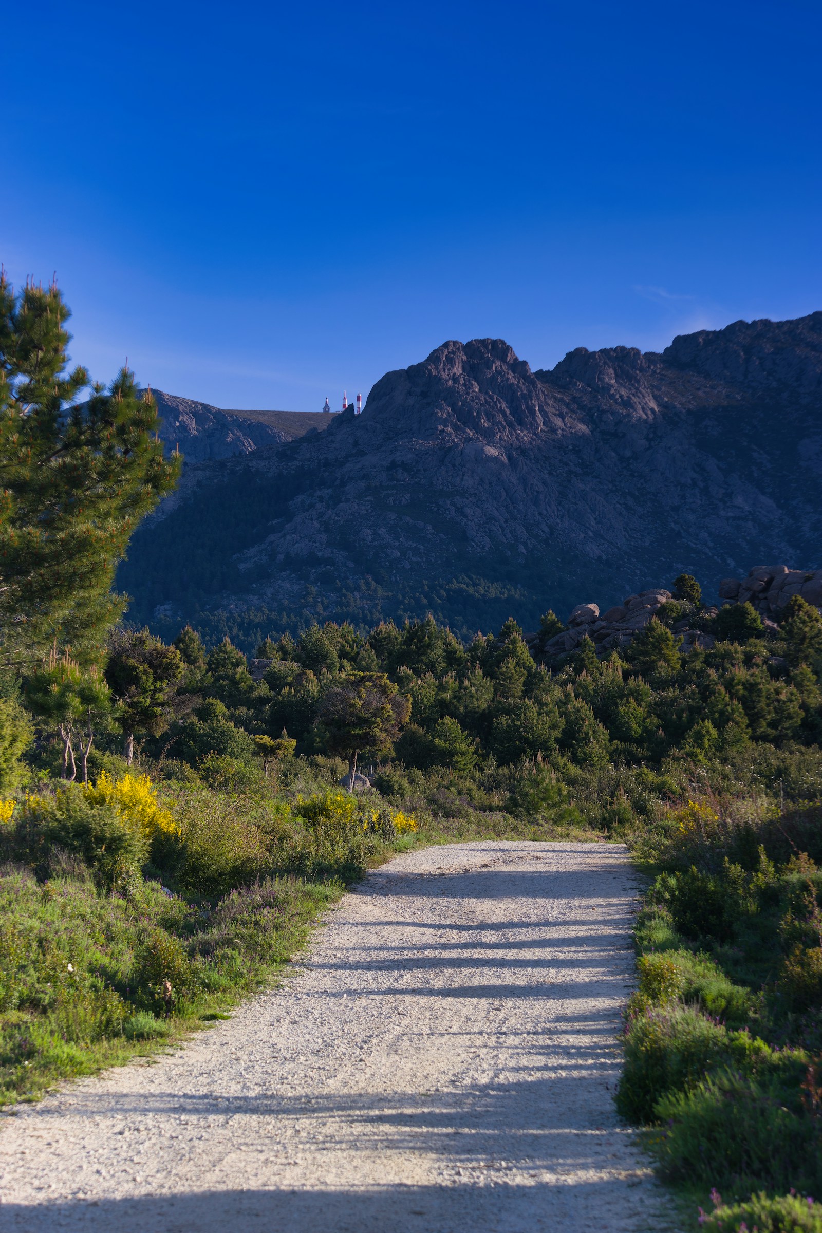 Gravel road winding through the Troodos Mountains on the Trans Cyprus route
