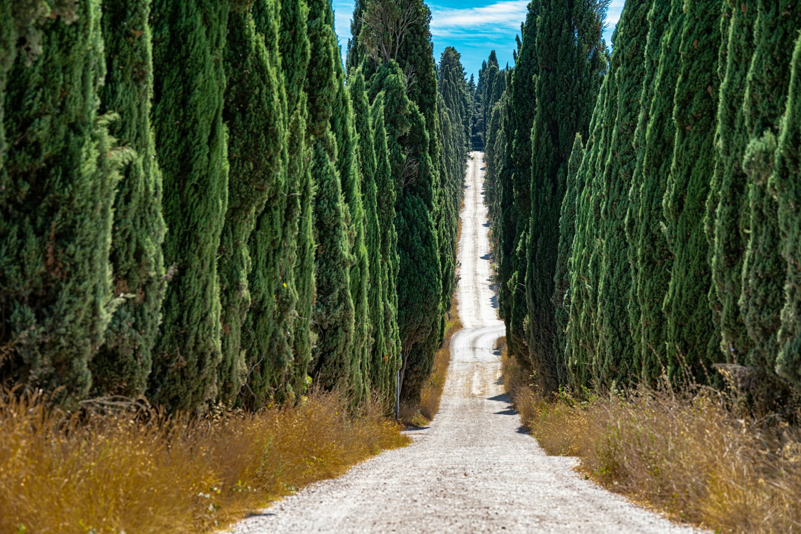 White gravel roads of the Strade Bianche, Tuscany