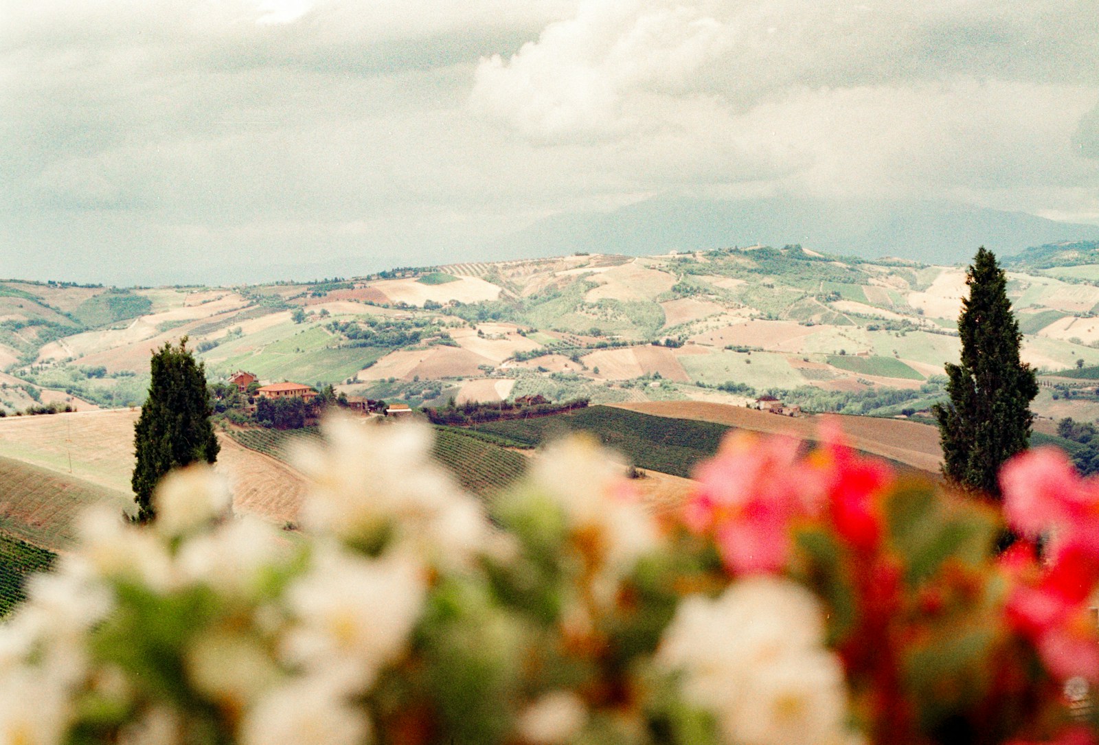 Tuscan agriturismo farmhouse with vineyard