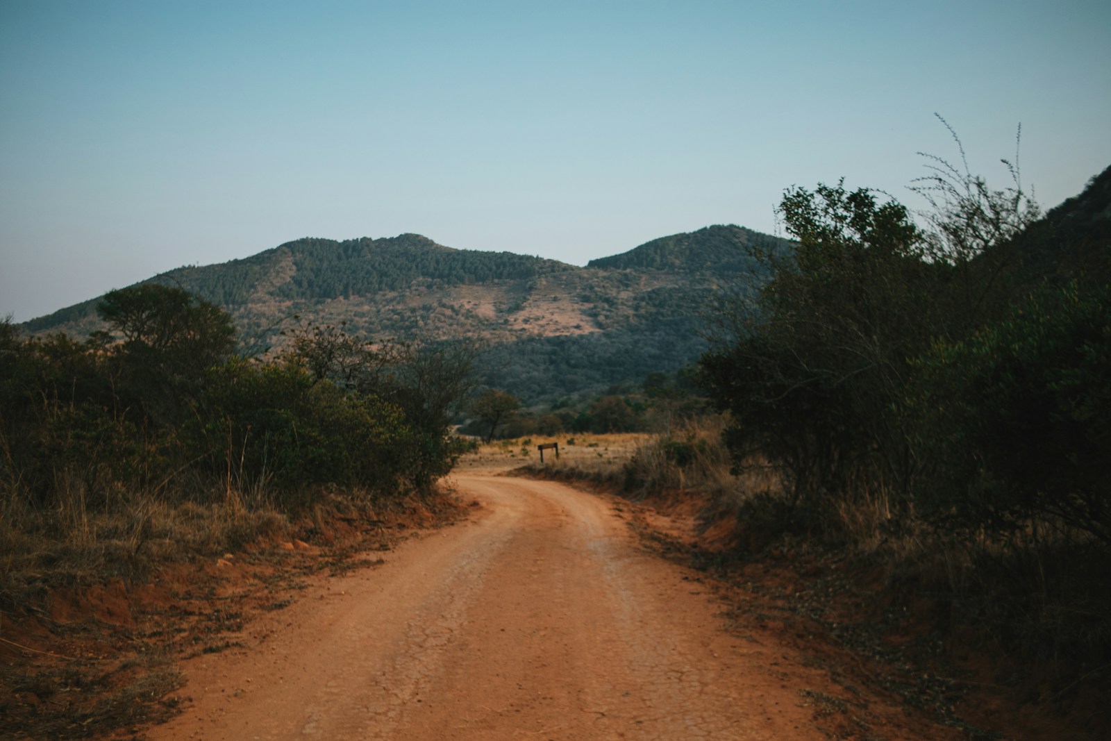 Gravel road through the South African landscape on the supported gravel tour
