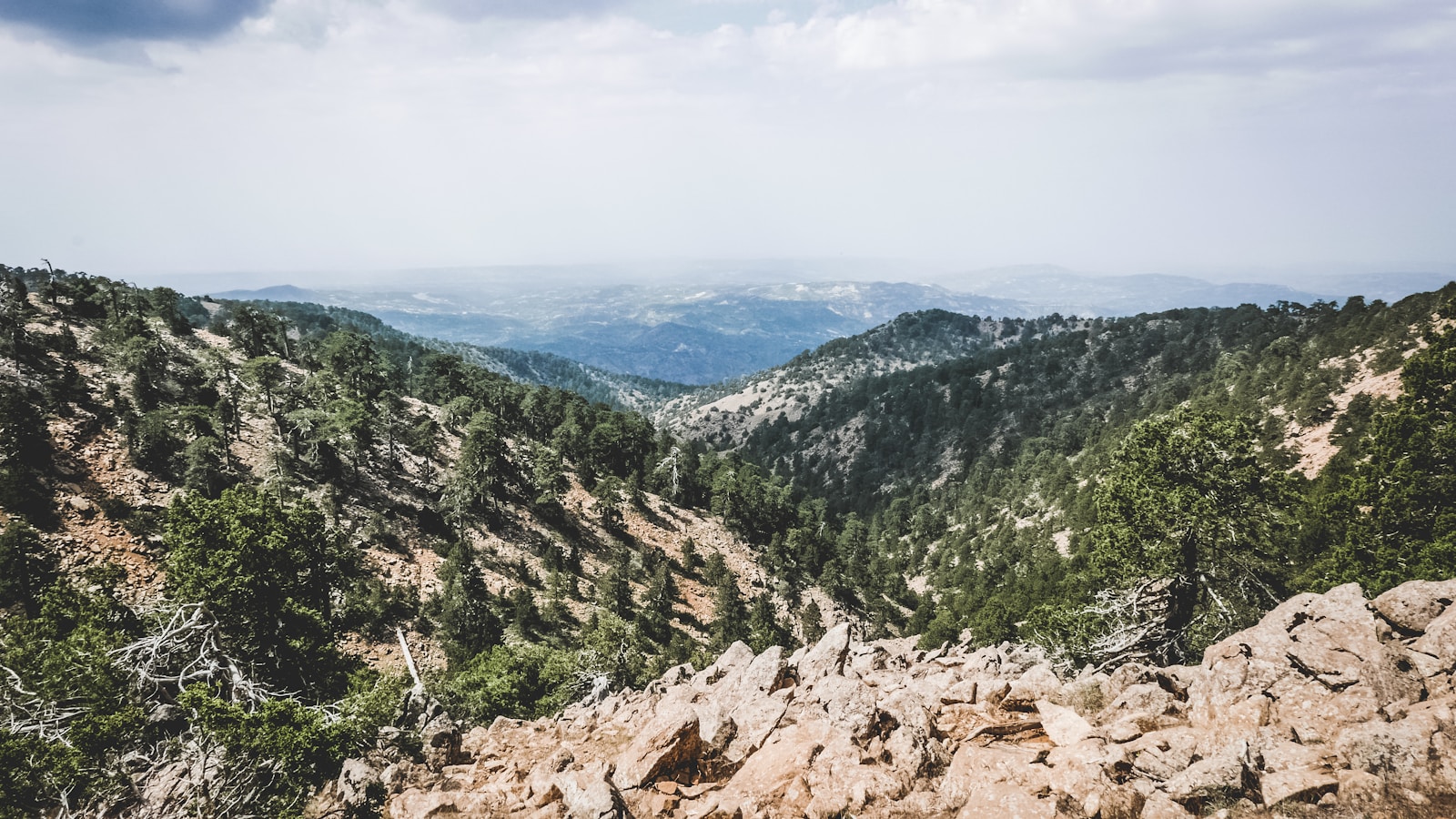 Trans Cyprus Gravel