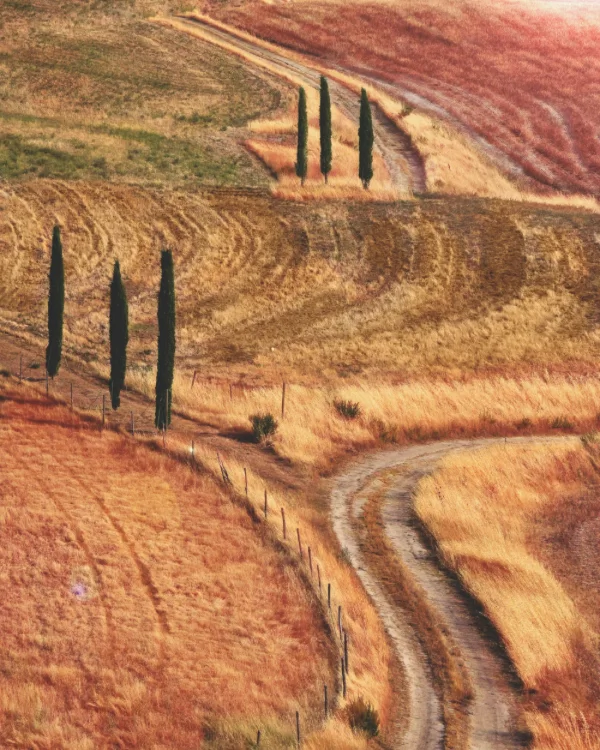 Gravel cyclist descending through the Apennines towards Tuscan vineyards on a supported gravel tour
